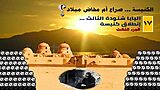 البابا شنودة: الرهبنة واﻷسقف العام