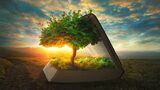 Father God or Mother Nature?