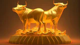 Golden bulls