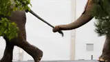 أرثوذكس