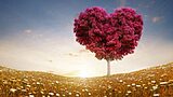 love tree