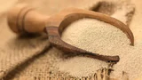 الخميرة الصغيرة