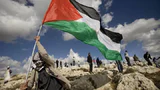 القضية الفلسطينية